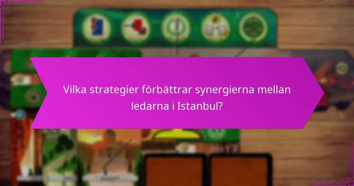 Vilka strategier förbättrar synergierna mellan ledarna i Istanbul?